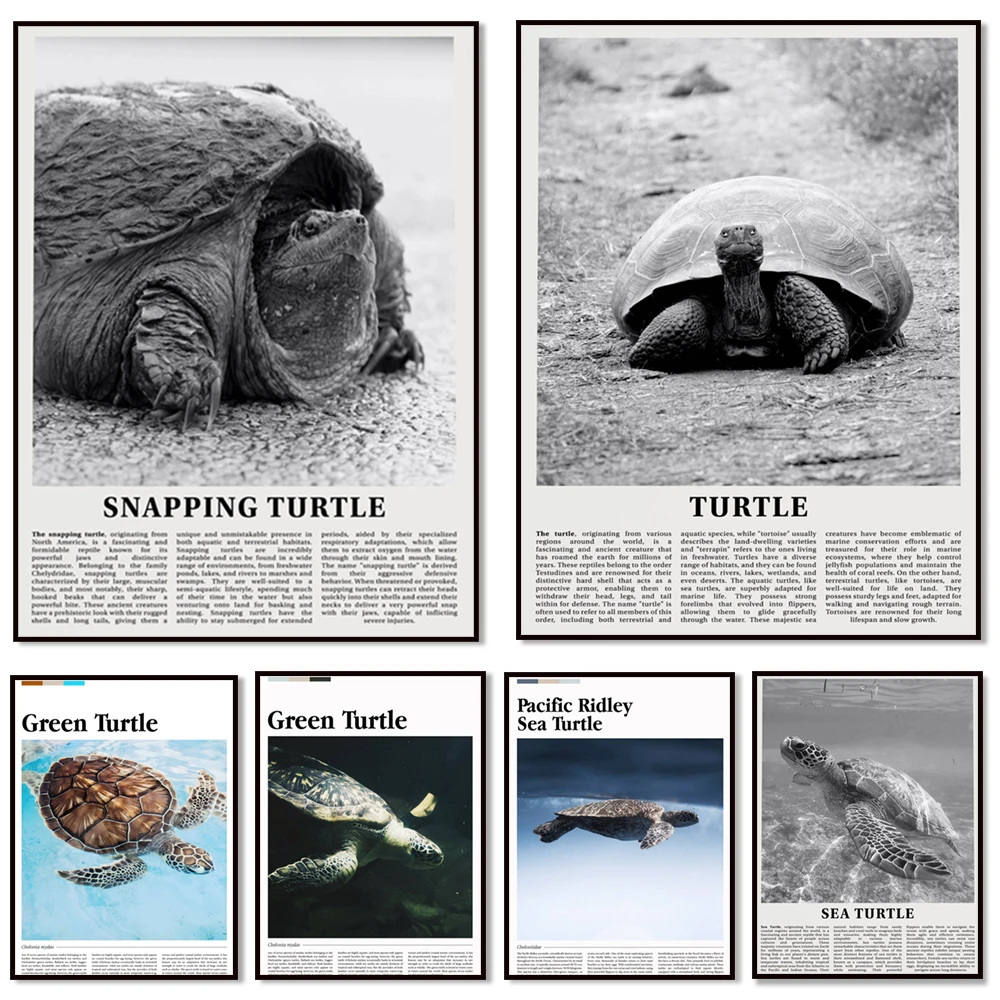 Печать на холсте &quotМорская черепаха&quot ReachMani