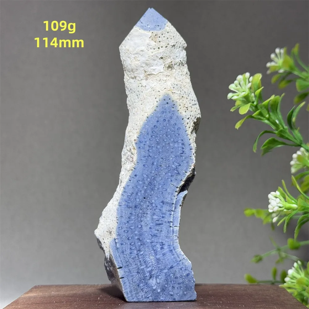 Синий коралл, драгоценный камень лариса аш драгоценный