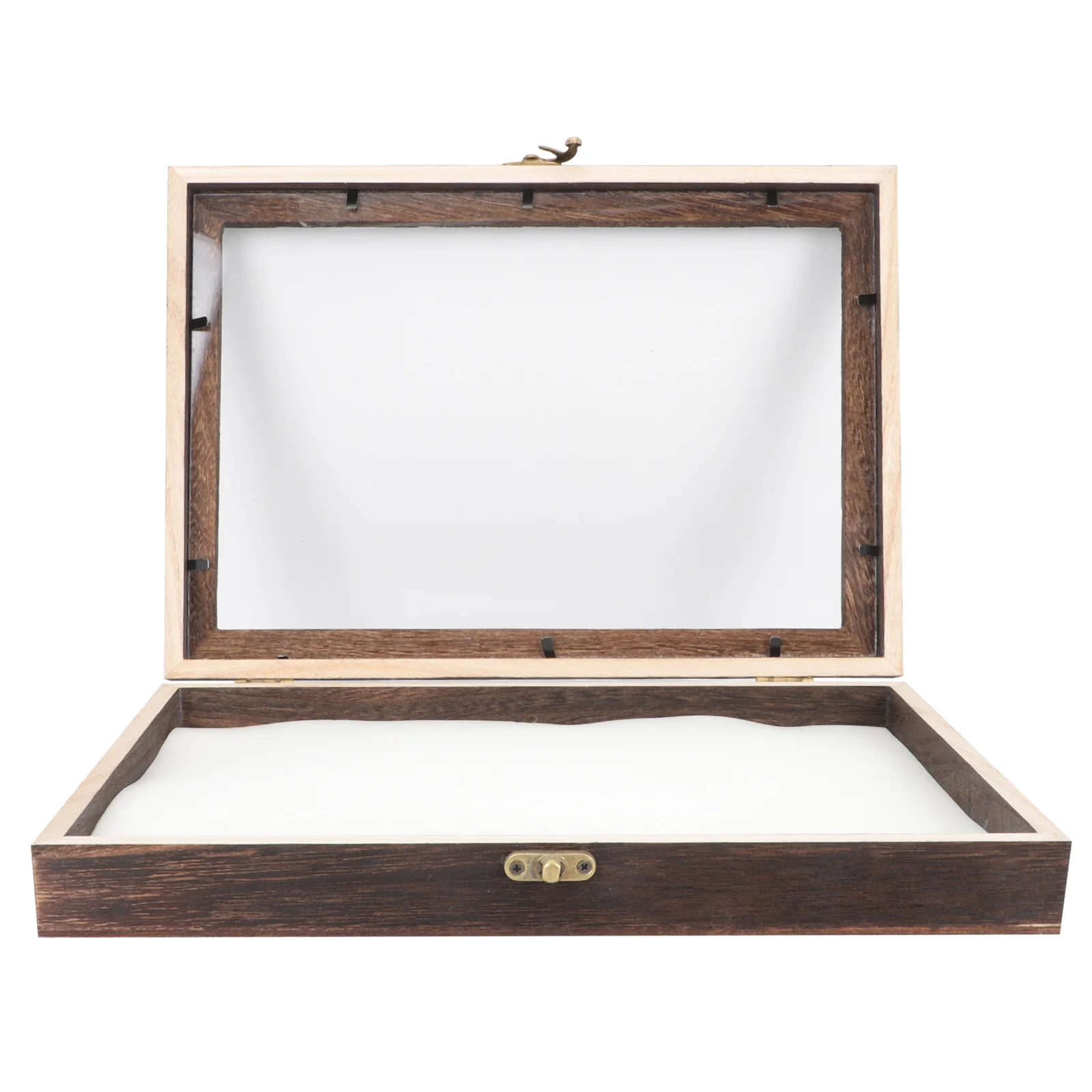 

Insect Specimen Box Picture Storage Box Specimen Shadow Box Sample Box Wedding Shadow Box Frame Wooden Jewelry Box Child