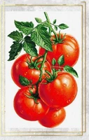 cross stitch kits cross stitch kit embroidery threads for embroidery set cfruit series a bunch of tomatoes 36 52 embroidery