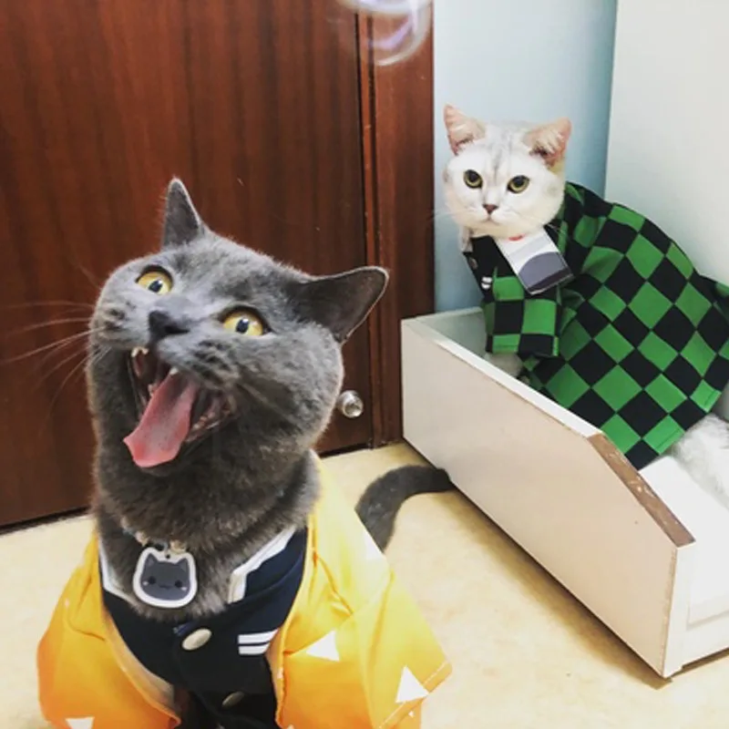 

Модный костюм для кошек из аниме киметасу No Yaiba KDemon Slayer, летняя Удобная накидка для кошек и маленьких собак, одежда для косплея, товары для домашних животных