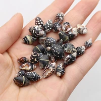 wholesale black small conch beads 100g natural sea snail accessories women diy bracelet necklace anklet jewelry parts
