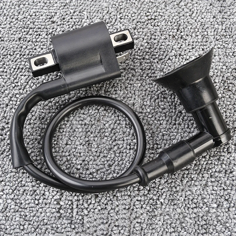 Фото Катушка зажигания для Aeon ATV, Minikolt Revo Cobra 50 100, CPI ATV Crab 50 100, Access ATV 50 100, Can-Am ATV Mini DS 50 90 №4