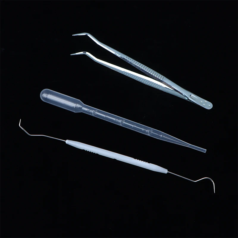 3 шт./набор набор инструментов для муравьиной фермы