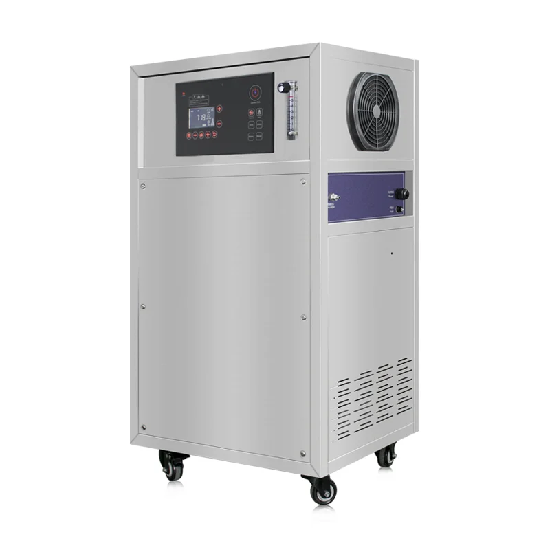 Генераторы озона Flygoo 3g/hr мини-генератор озонатор с воздушным насосом внутри