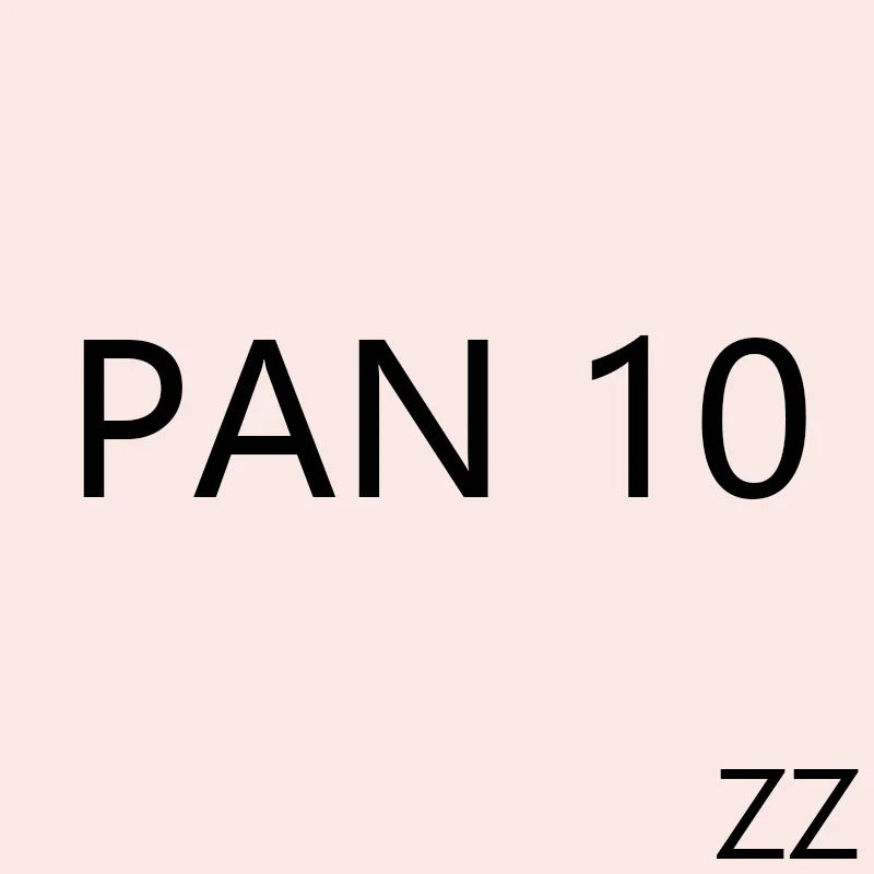 

PAN ZZ 10