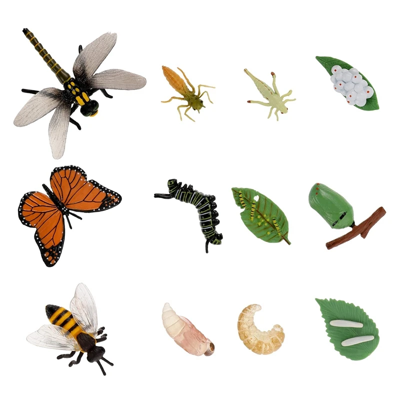 

12 PCS Animal Life Cycle Models Butterfly Life Stages Figures Ladybug Bee Life Insect Life Cycle Model Educational Toys
