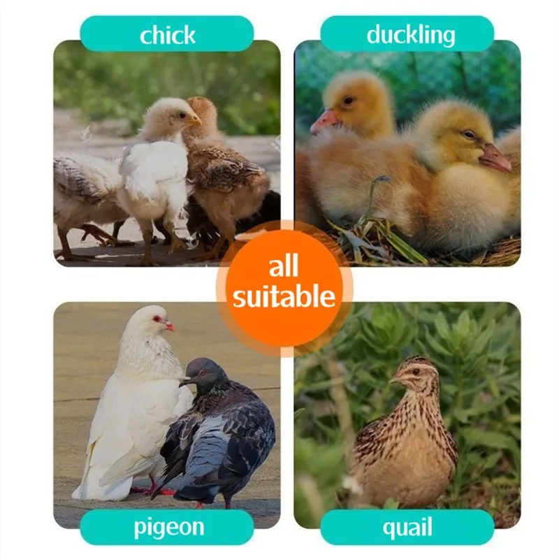 1/3 шт Автоматическая чаша для воды с птицами семейная ферма Курятник