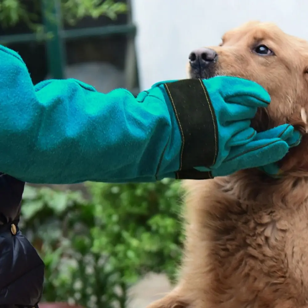 

1 pair Anti-Scratch Anti-Scratch Protective Gloves Bite-resistant Wear-resistant Pet Handling Gloves Green Leather
