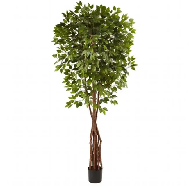 

5453 7.5 ft. Super Deluxe Ficus Tree