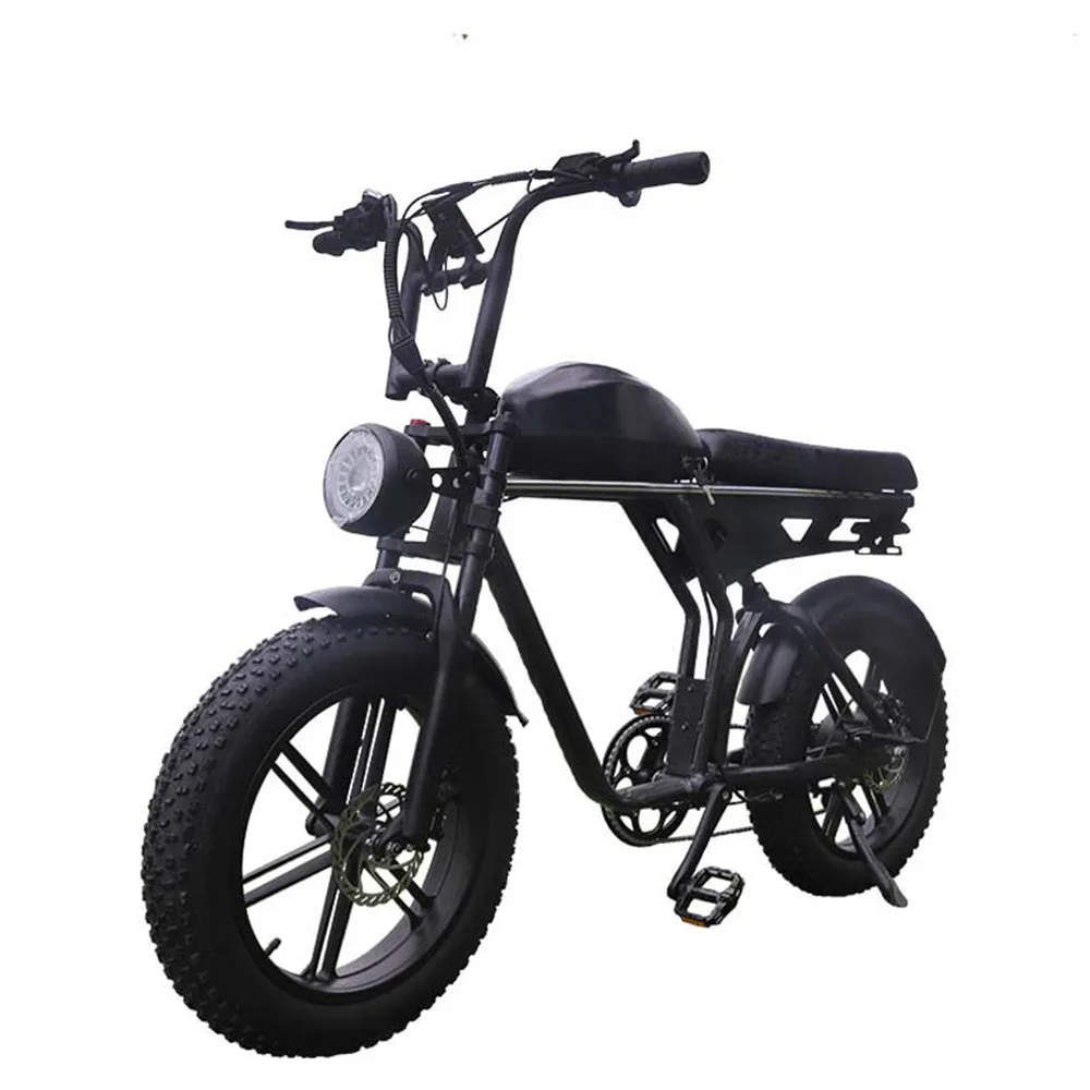 

48v25a Electric Bicycle 750w Mountain Bike Anti skid Wear Resistant Tyre Comfortable Seat Cushion Hydraulic Disc Brake Cycling