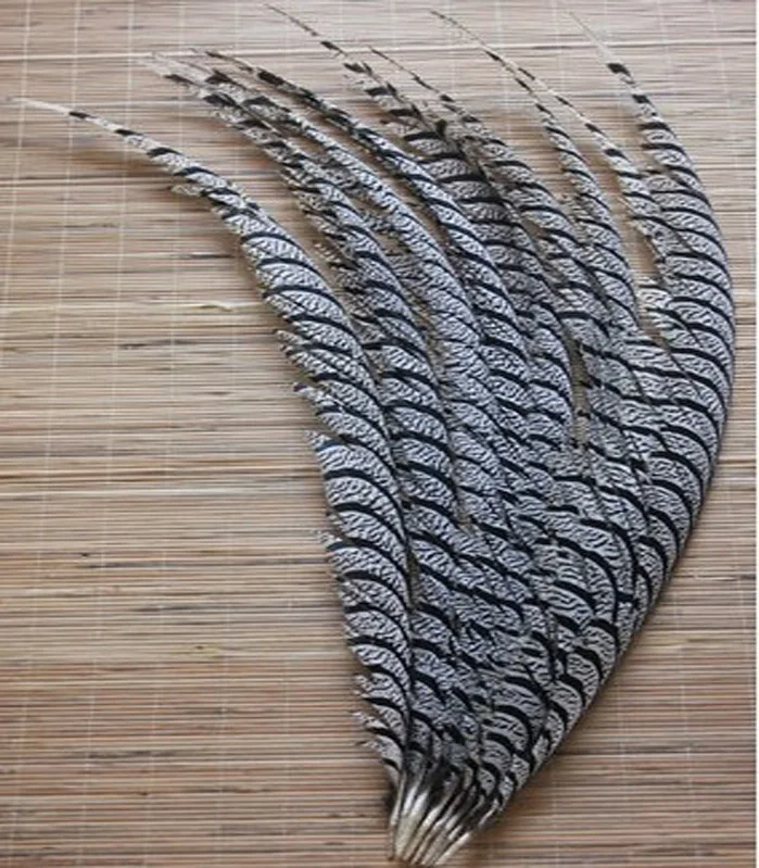 

Free shipping 32-36inch/80-90cm 10 PCS Natural color ringneck lady Amherst pheasant tail feathers