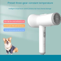 2 in 1 pet grooming hair dryer with brush silent steel needle comb massage cat grooming self cleaning brush blower dog supplies