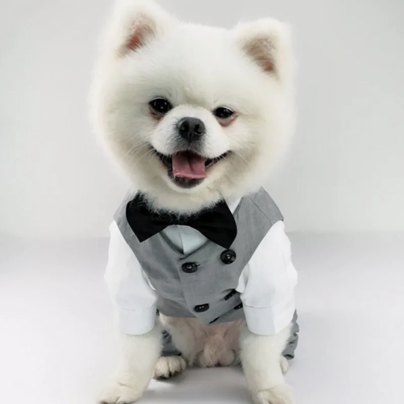 

Галстук с одеждой для собак на свадьбу и день рождения, средний размер, собака, домашний питомец, маленький костюм для джентльмена, для смокинга, официальный костюм, смокинг, жилет, Бабочка, порода