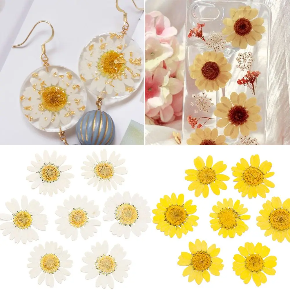 

12PCS/Bag Hot Sale Resin Makeup DIY Art Jewelry Making Pressed Daisy Dried Flower