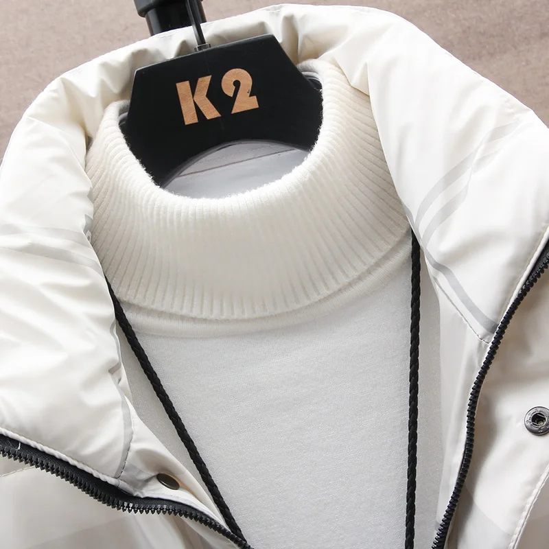 Autumn and winter casual fashionable plain plate short plaid shark skin versatile work clothes down jacket men's filled white du