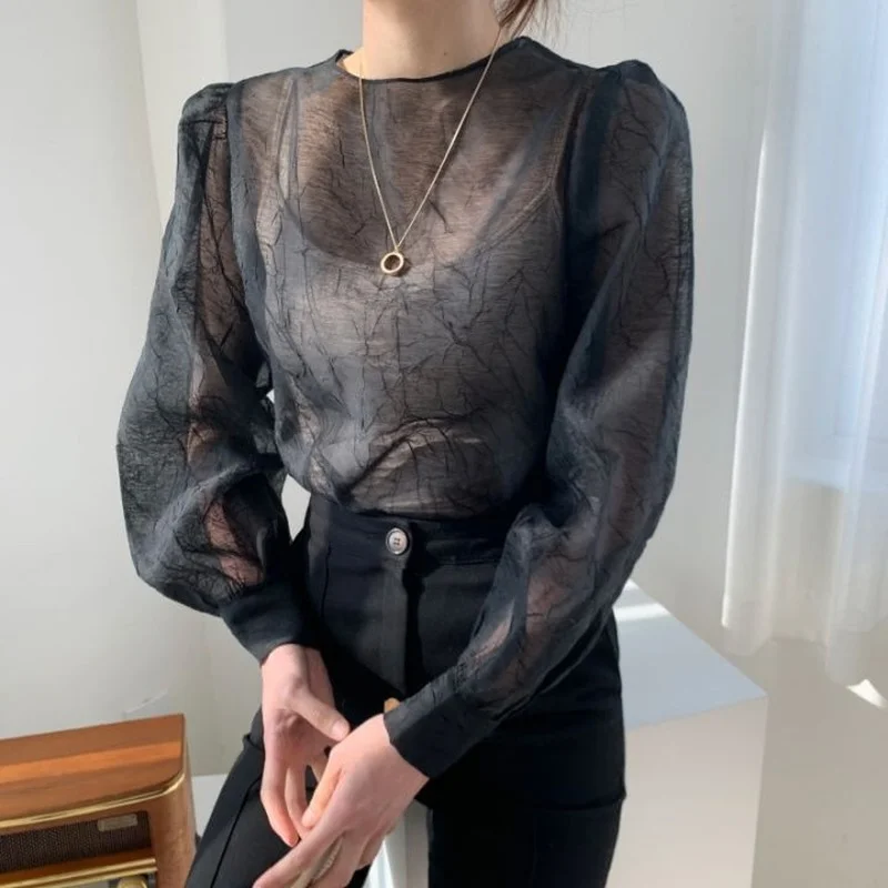 Korean Fashion Summer Long-sleeved Mesh Pleated T-shirt Sexy Sweet Mesh Micro-through Top Womens Clothing T Shirt for Women