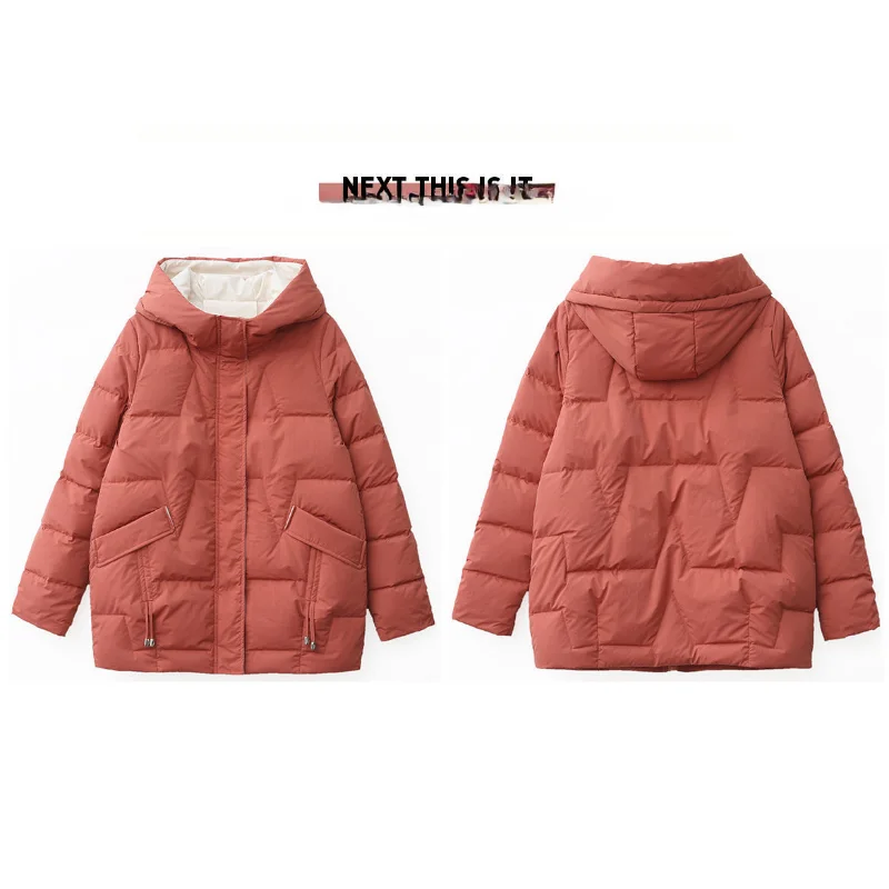 Cotton-padded Women 2023 New Winter Long Down Cotton-padded Jacket Korean Version of Loose Hooded Padded Cotton-padded Jacket
