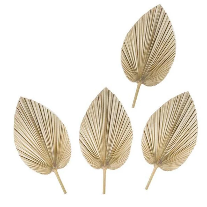 

4PCS Dried Palm Leaves Dried Palm Fans Bohemian Dried Palm Spears Artificial Plants Palm Leaves