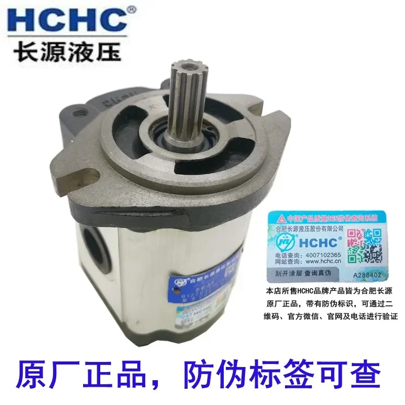 Фото Электрический шестеренчатый насос из чугуна Hefei Changyuan CBT-F410/F416/F420/F425/F426.5/F432 №2