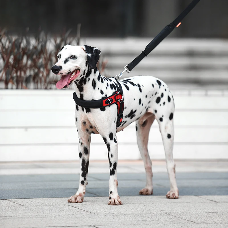 Stunt Puppy Шлейка-жилетка для собак кожаный поводок средних и больших питомцев