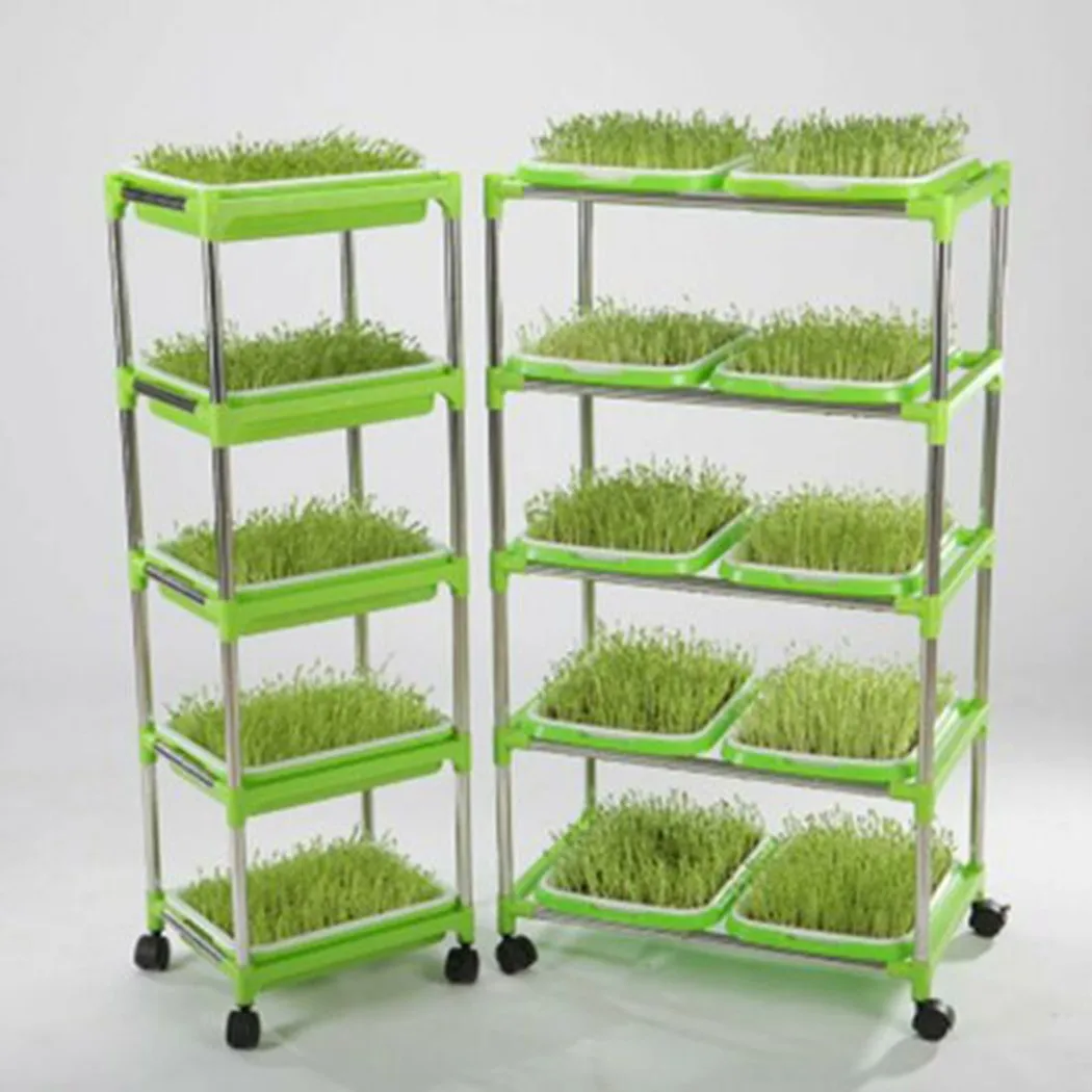 Домашний садовый гидропонный арахисовый sprвнешний ящик лоток для бобов большая