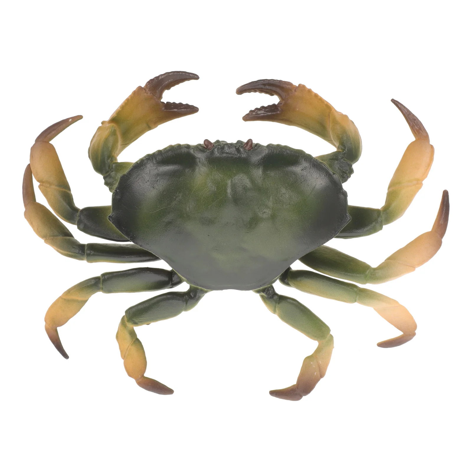 

Simulation Cooked Crab Models Cooked Crab Props Photo Props Fish Tank Decor