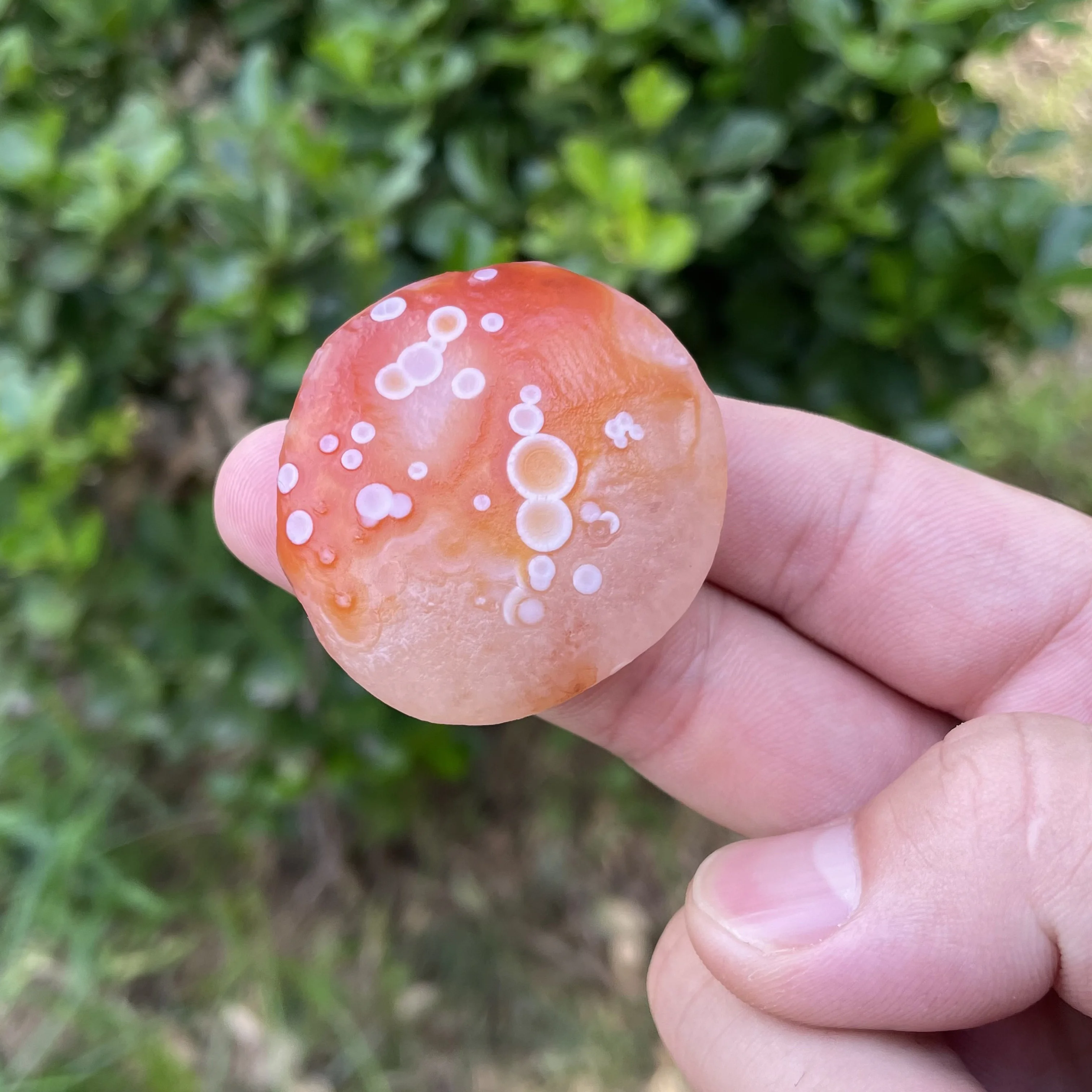 Натуральный красный агат Sardonyx