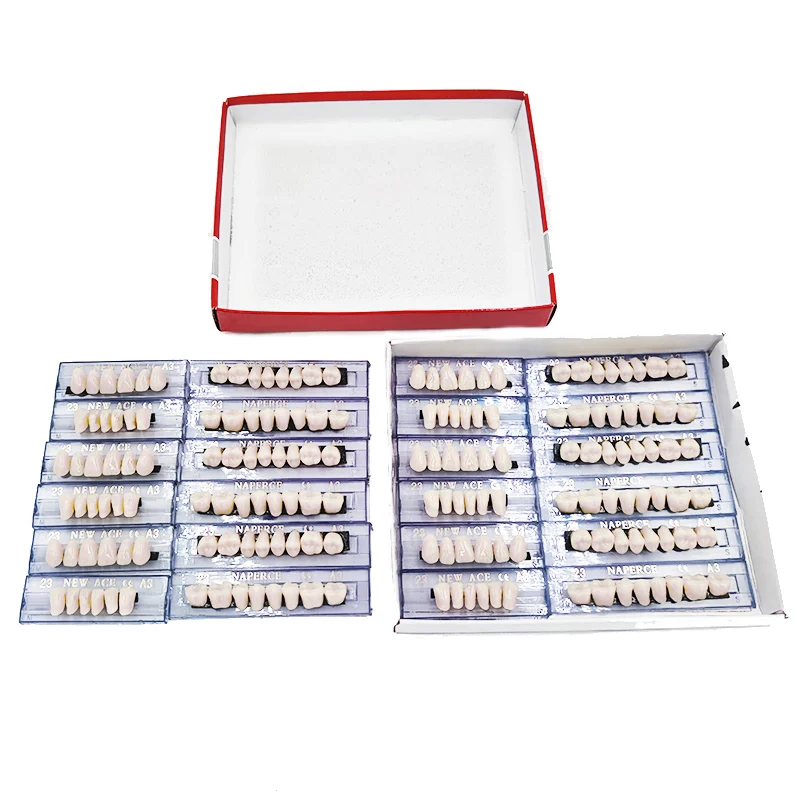 168 pieces/6sets /box Dental Synthetic Polymer Teeth Full Set Resin Denture Dental Teeth Color A2 A3 Size 23 Dentist Materials