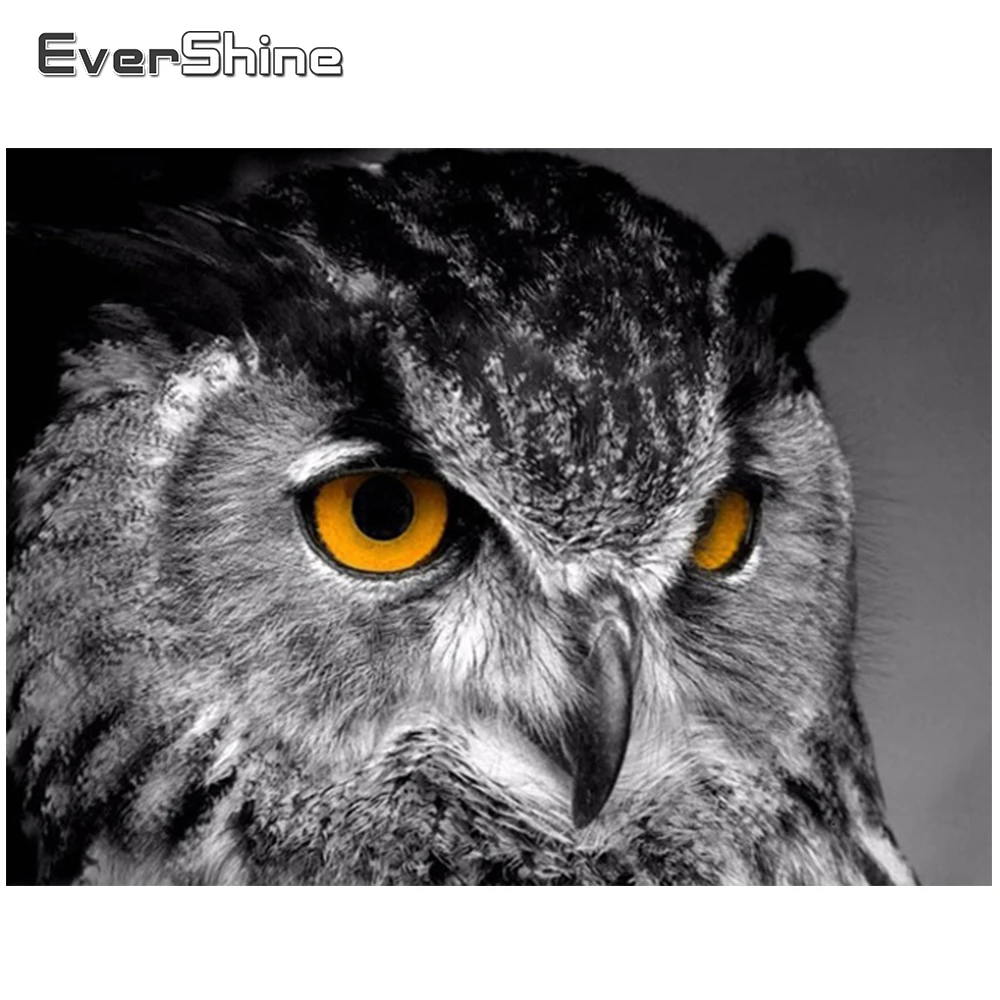 

EverShine 5D Diamond Painting Owl New Arrivals Full Square Cross Stitch Diamond Embroidery Animal Rhinestones Picture Home Decor