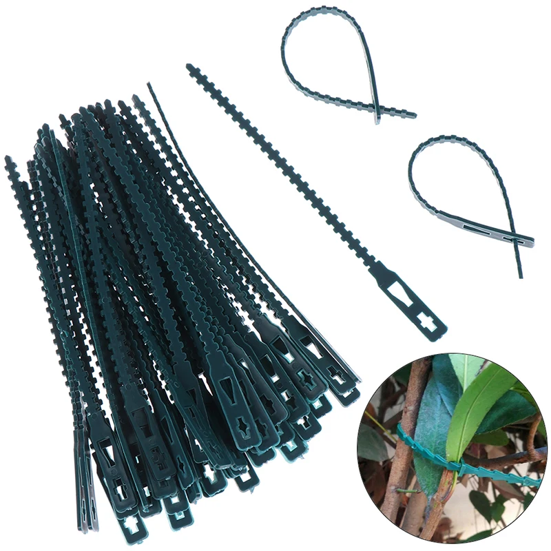 

10/50pcs Plastic Plant Cable Ties Reusable Cable Ties for Garden Tree Climbing Support Adjustable Home Garden Plant Tying Tool