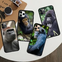 monkey gorilla animal phone case for iphone 12 11 13 7 8 6 s plus x xs xr pro max mini shell