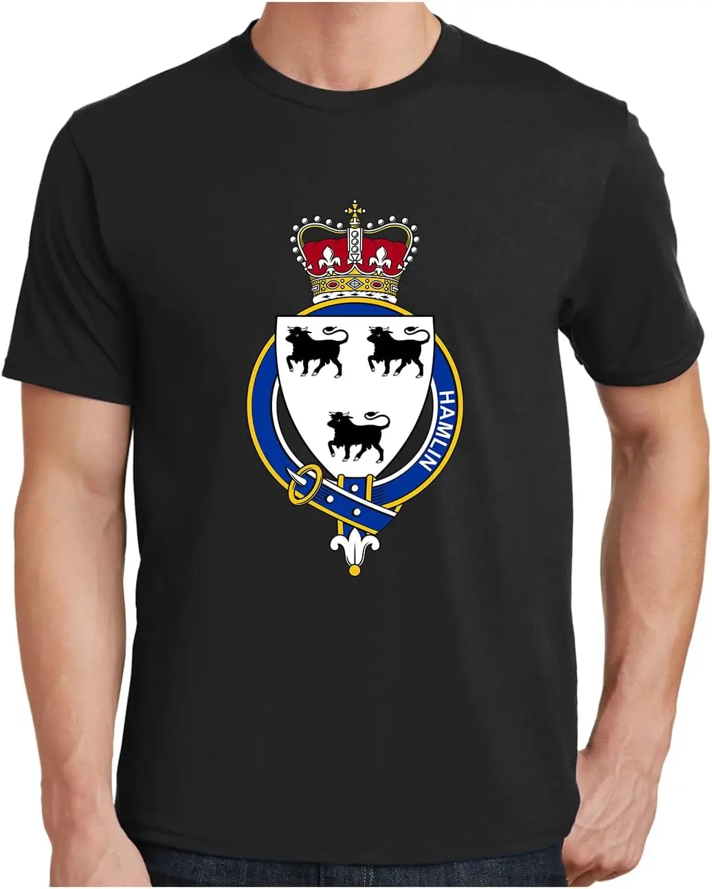 Мужская футболка с английской подвязкой Hamlin Family