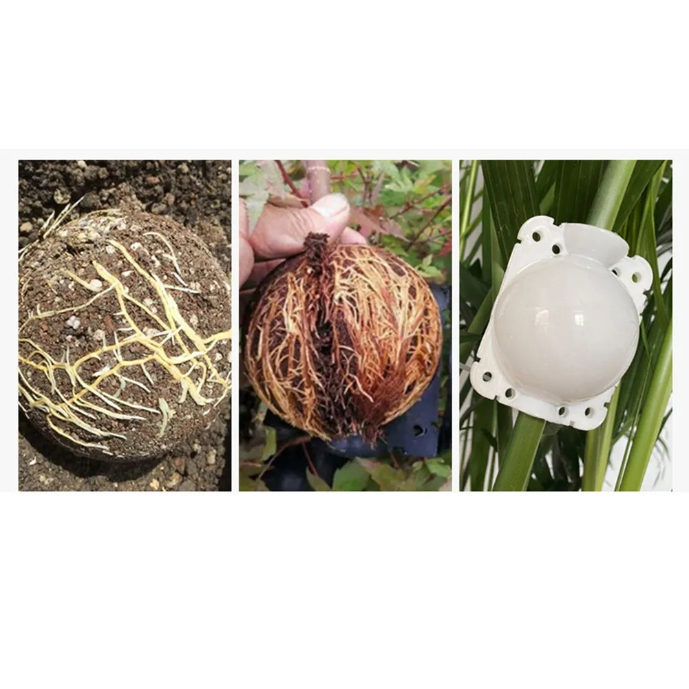 1/10/6 *Grafting Box 5/8cm Garden Plant Rooting Equipment High Pressure Propagation Ball Garden Graft Box For The Plant Rooting