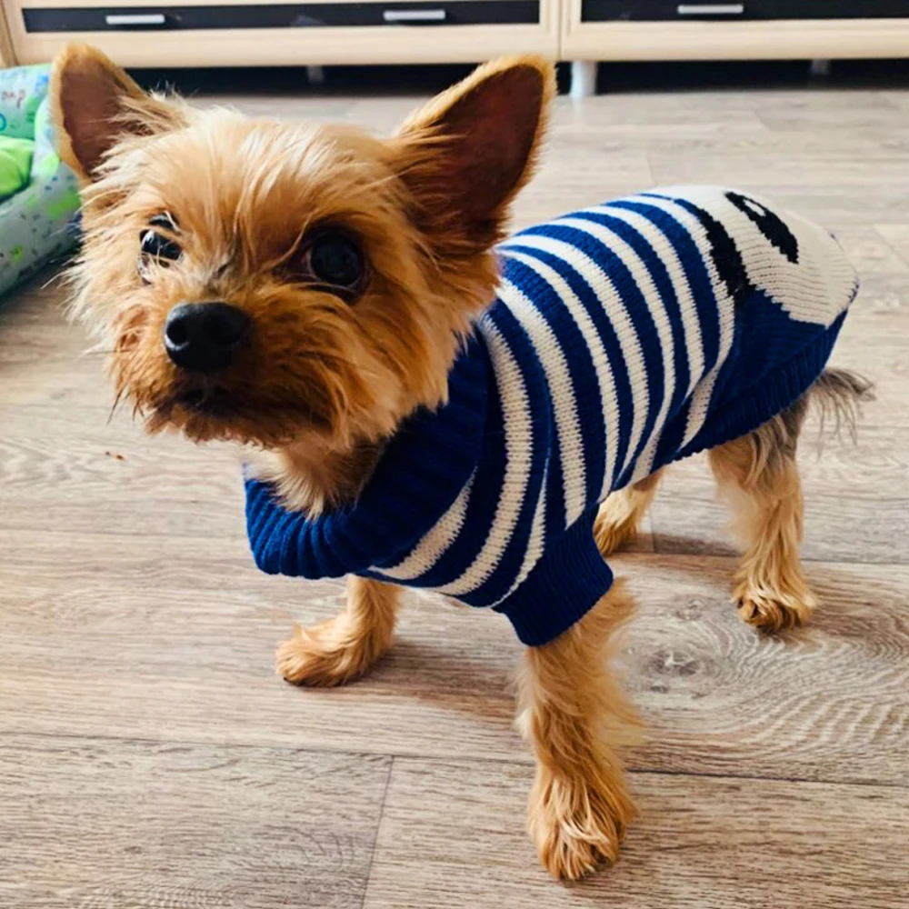 

Easy Pull Over Light Weighted Pet Sweaters For Small Medium Pets Winter Outdoor Windproof Cartoon Pet Sweater Accessories Supply