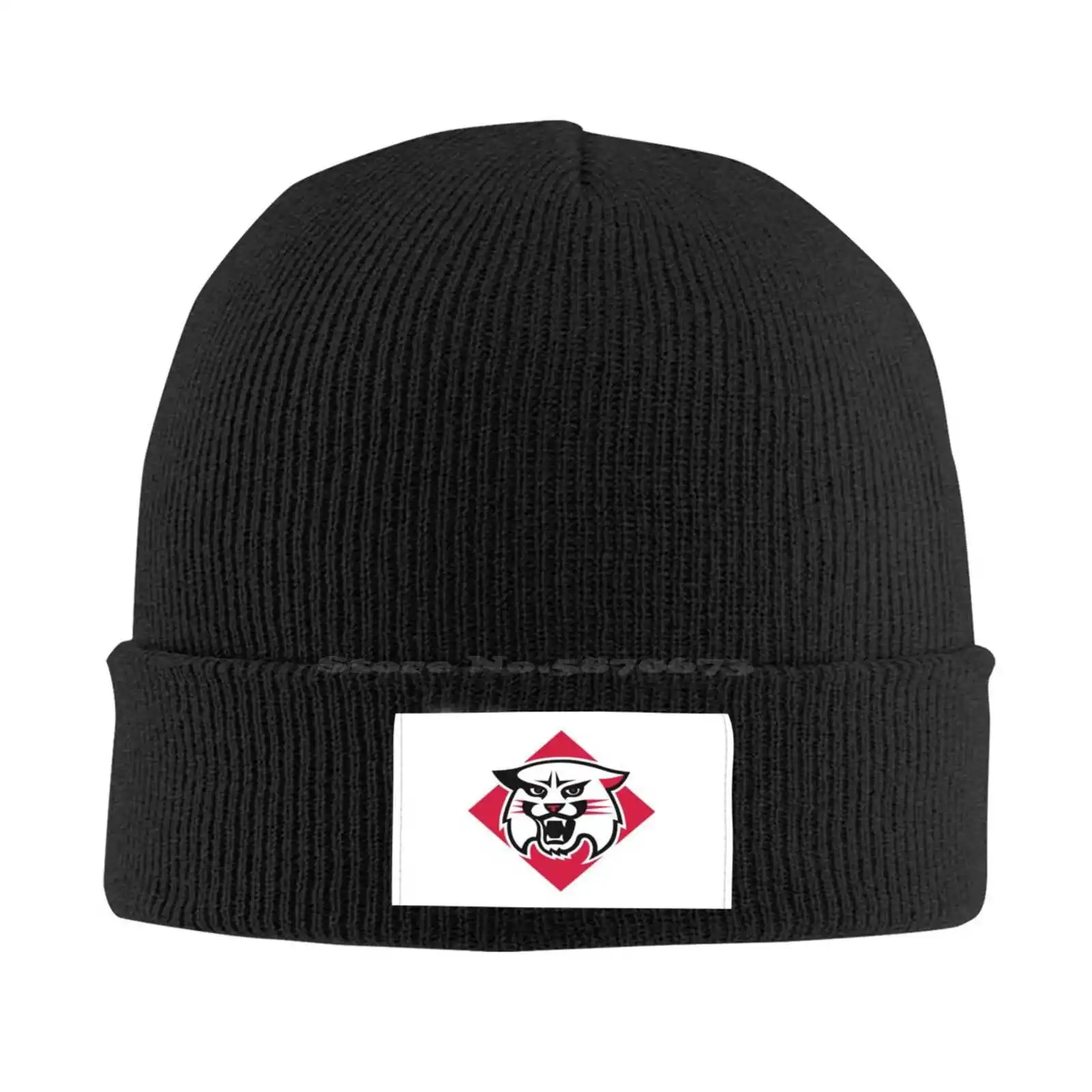 

Davidson Wildcats Logo Print Graphic Casual cap Baseball cap Knitted hat