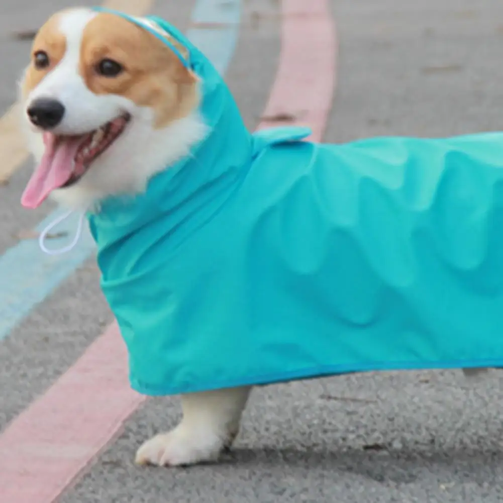 

Стильная моющаяся прочная конструкция с высокой защитой для домашних животных