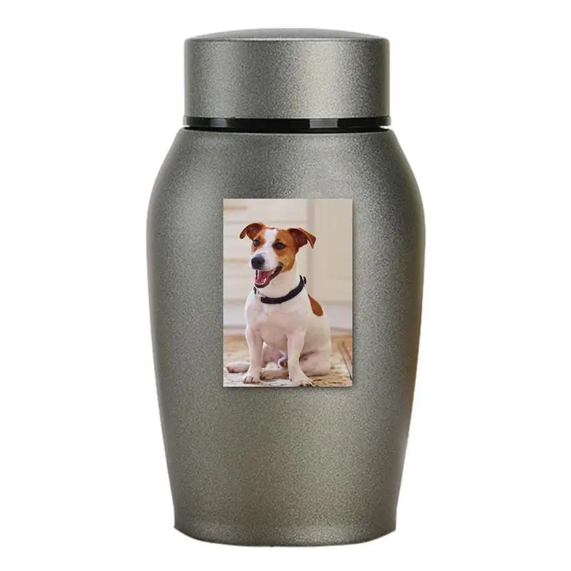 

Pet Memorial Ashes Holder Small Memorial Funeral Ashes Holder Stainless Steel Pet Urns For Dogs Ashes Always In My Heart Dog Urn