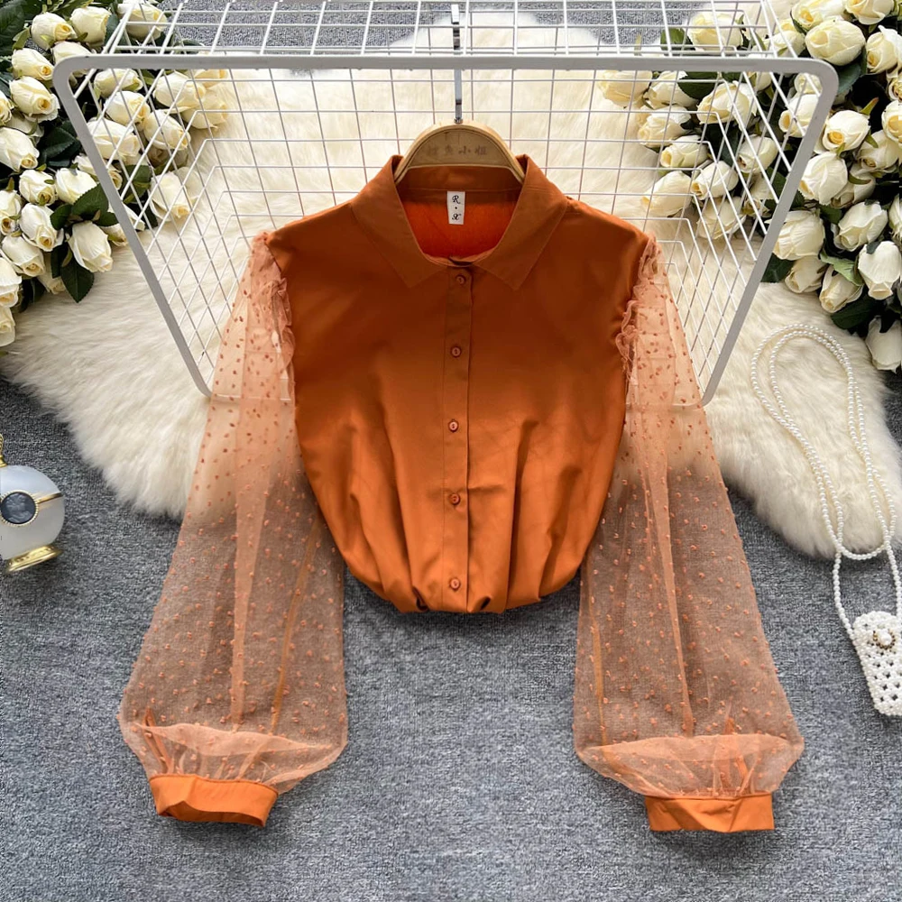 

Women's New Fashion Spring Summer Perspective Long Sleeve Splicing Shirt Casual Blouse Tops Blusas Femininas Elegantes F340