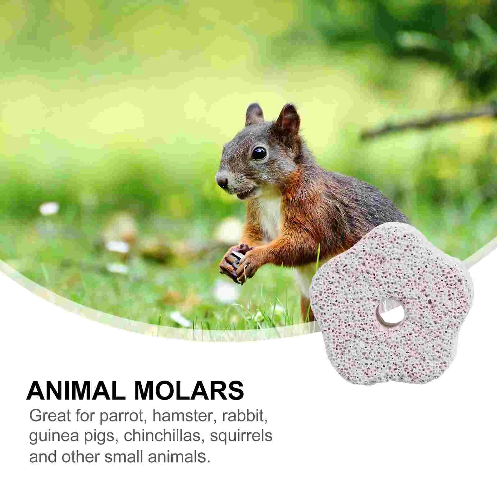 12 шт. шиншилла пемза камень попугай молярные игрушки шлифовальная машина для