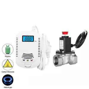 natural gas sensor and carbon monoxide – Compra natural gas sensor and  carbon monoxide con envío gratis en AliExpress version
