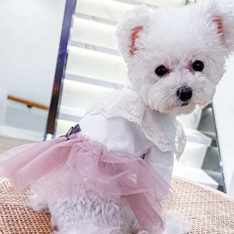 

Lace Princess Pet Skirts Dogs Clothes Spring Summer Sweet Lace Bowknot Cat Clothing For Small Dogs Yorkshire Ladies Pets Costume