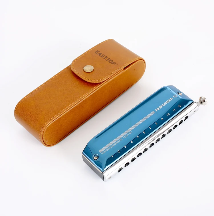 EAP-12 новая распродажа профессиональные музыкальные инструменты с 12 отверстиями