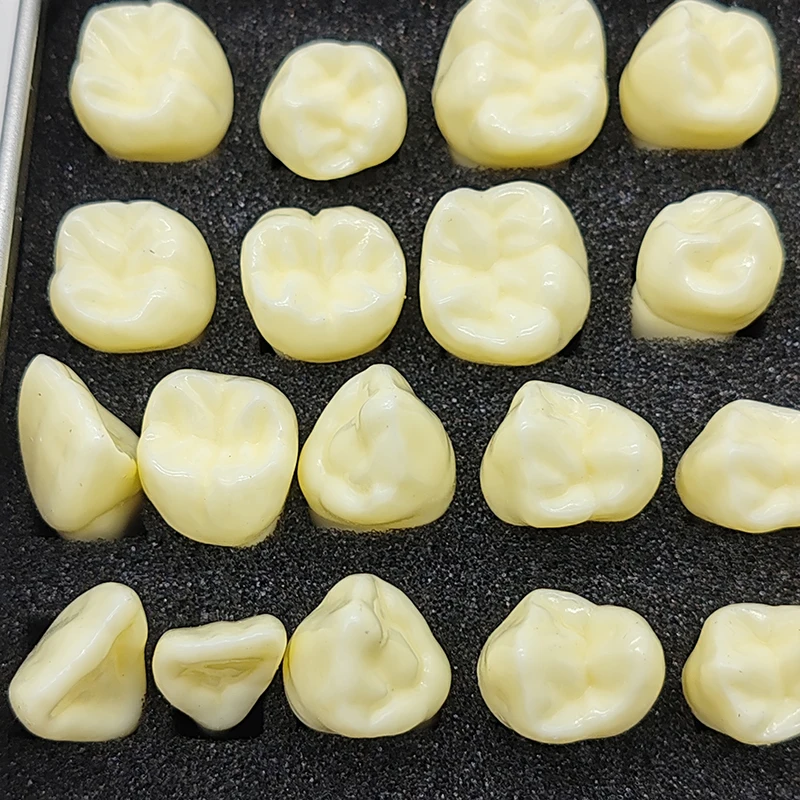 Стоматологическая 2-кратная постоянная модель зубов 32 шт.