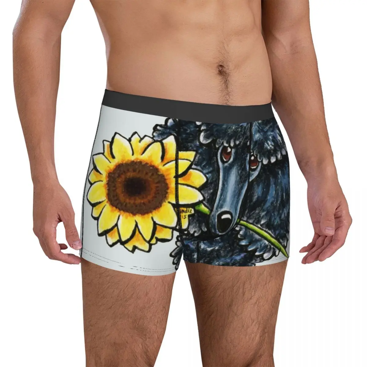 

Poodle Underwear Sunny Black Miniature Poodle Males Panties Customs Classic Boxershorts Hot Boxer Brief Plus Size