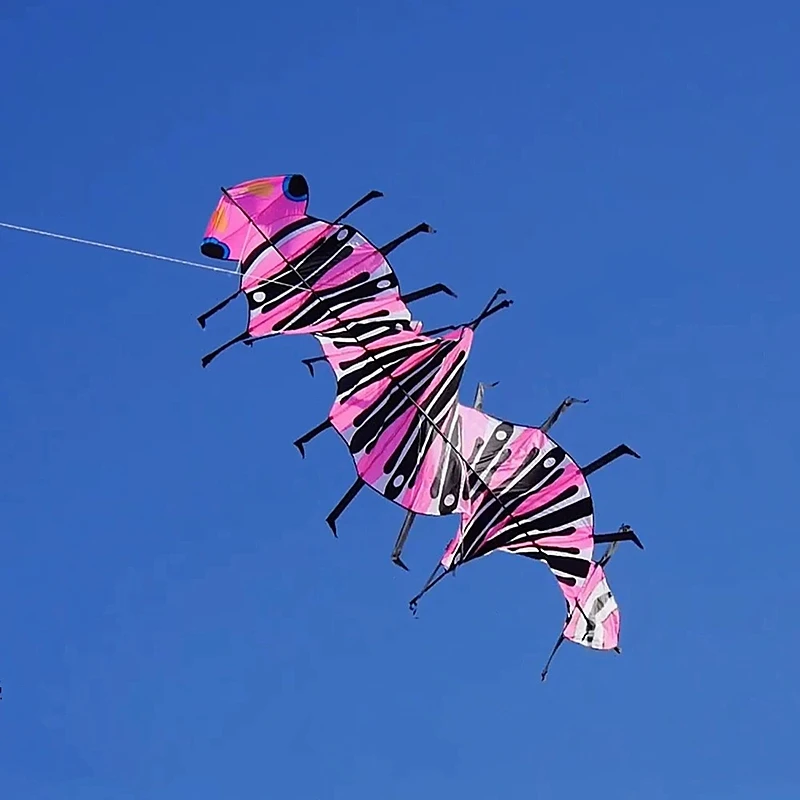 Бесплатная доставка многоножка воздушный змей парапланерный drachen 3d Pipas комплект