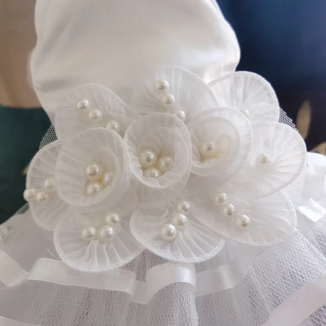 Pet Clothes White Color Pet Supplies Fashion Lace Dog Wedding Dress Princess Dress Dog Accessories Dog Clothes Dog Dress Up Tool 4