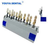29 colors dental teeth toothguide shade guide with bleached dentistry dentist color colorimetric plate teeth whitening model