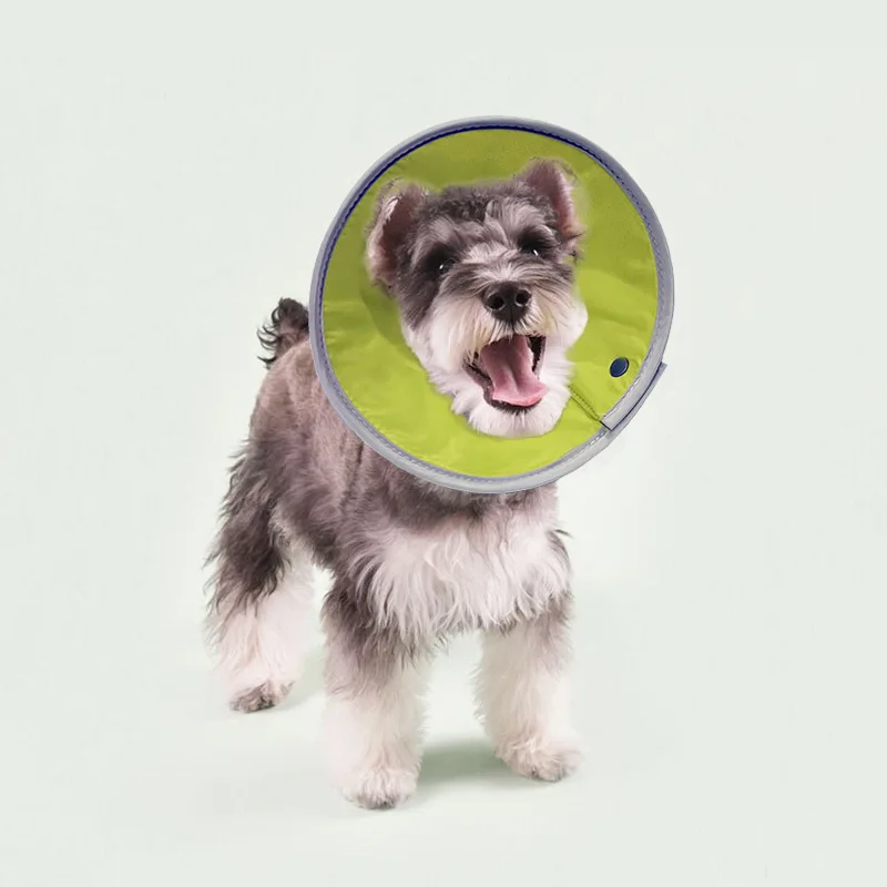 

Ошейник и поводок для собак и кошек, нейтральный аксессуар с маленьким кольцом против укусов и лизания, для домашних питомцев