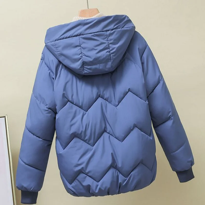 down Cotton-Padded Jacket for Women Winter 2023 Korean Style Loose Small Cotton-Padded Jacket Thick Fashion Short Cotton Coat